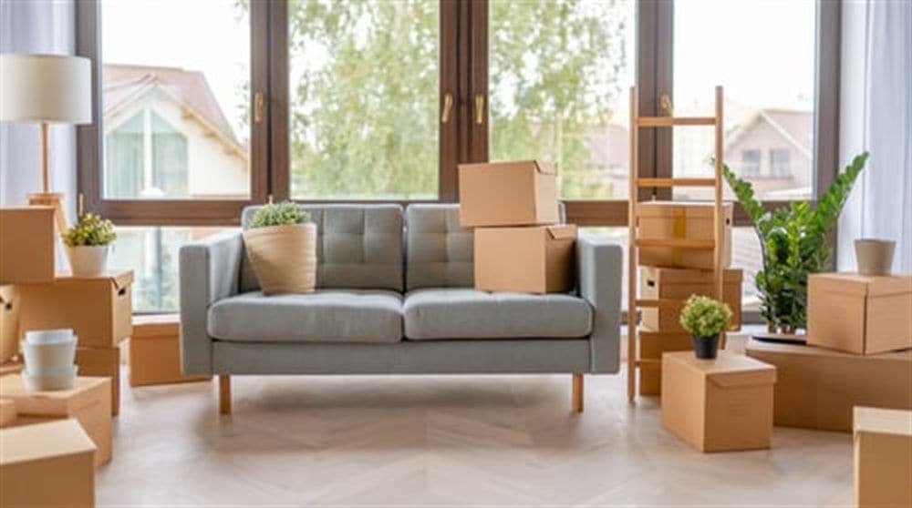 Empty living room with moving boxes prepared for AHC move-in and move-out cleaning in Crystal Lake, IL